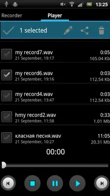 Simple Voice Recorder android App screenshot 5